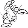 Kreeft Zodiac